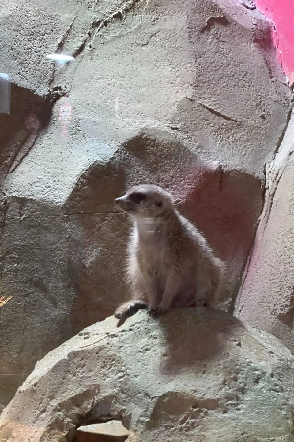 如何制定智能篮球训练计划_0